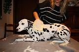 BAIN - DALMATIEN 042